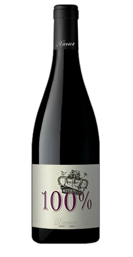 Xavier Vins 100% Cotes du Rhone Rouge 2010 夏維雅酒莊100%隆尼河紅