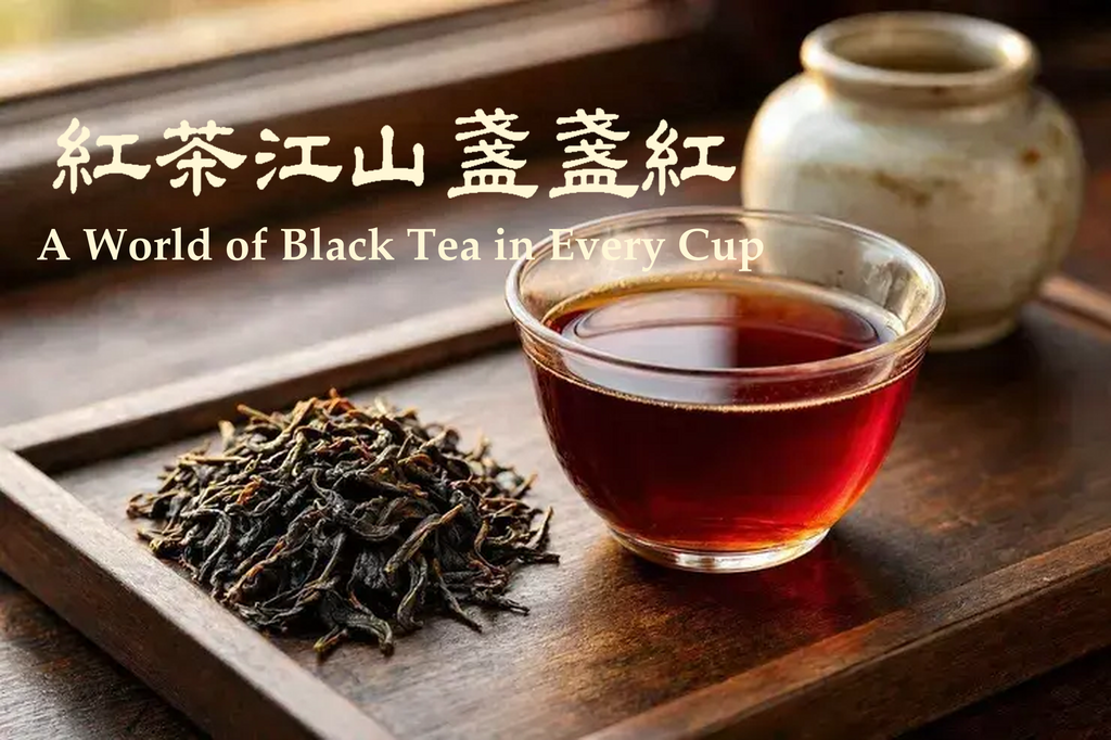 A World of Black Tea in Every Cup紅茶江山盞盞紅