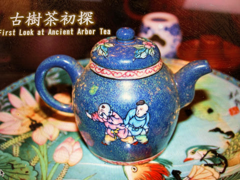 古樹茶初探工作坊