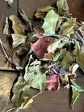 曼峨古樹胭脂白茶2026 Yunnan Man E Blush White Tea 2026 1g