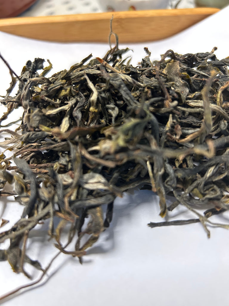 Yunnan Bing Dao Lao Zhai 300 Years Arbor Dark Tea First Flush 雲南冰島老寨三百年古樹混株頭春黑茶 2026