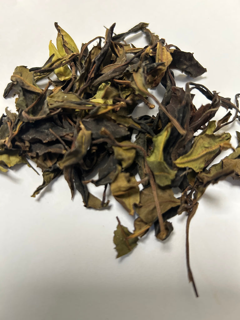 Yunnan Da Li Snowy Mountain Ancient Arbor White Tea 2026 大理雪山古樹白茶 2026 1g