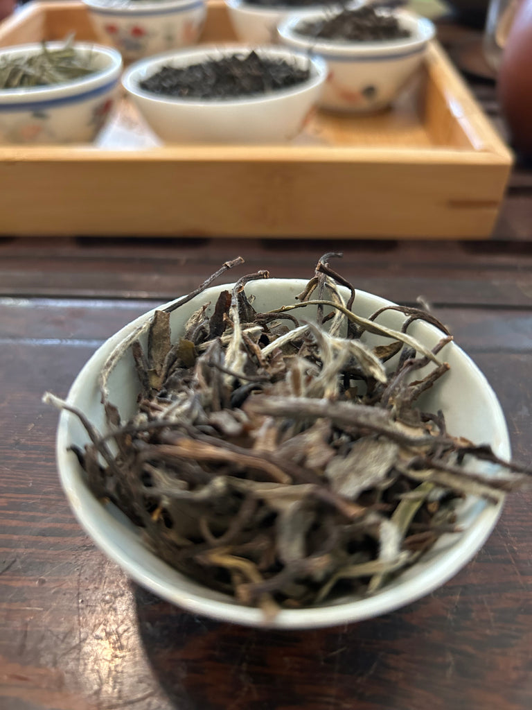 政和牡丹 Fu Jian Zheng He White Peony 1 g