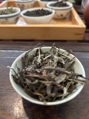 政和牡丹 Fu Jian Zheng He White Peony 1 g