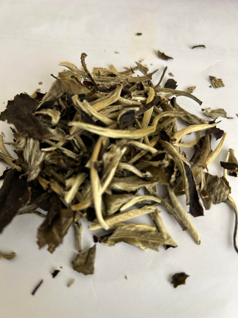 Xishuangbanna Ancient Arbor White Tea 2025 西雙版納古樹白茶 2025 1g