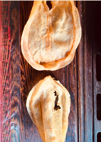 Fish Maw 18P  花膠 18P 600g