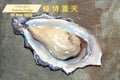 Yummy Friday Oyster Fiesta 美味星期五 蠔情蓋天