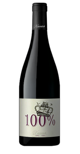 Xavier Vins 100% Cotes du Rhone Rouge 2010  夏維雅酒莊100%隆尼河紅