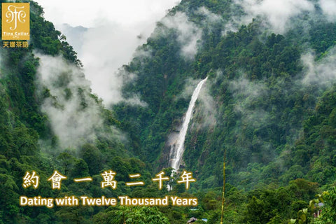 Dating with 12,000 Years Tea Lunch 約會一萬二千年 茶宴