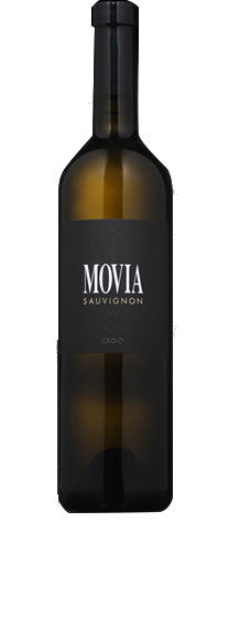 Movia Sauvignon 莫飛雅長相思 2010